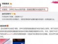 仙鱼最新爆料视频大全,揭秘视频大全背后的精彩瞬间