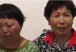 杜新枝最新爆料,揭开尘封往事，揭秘惊人真相
