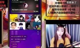 阿鸿直播录屏最新爆料,揭秘幕后真相，带你走进直播行业风云