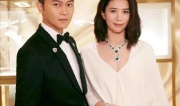 娱乐圈最新爆料天涯,惊天秘密曝光，明星真实面目大揭秘！